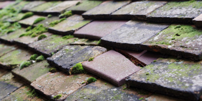 Newton Leys roof repair costs